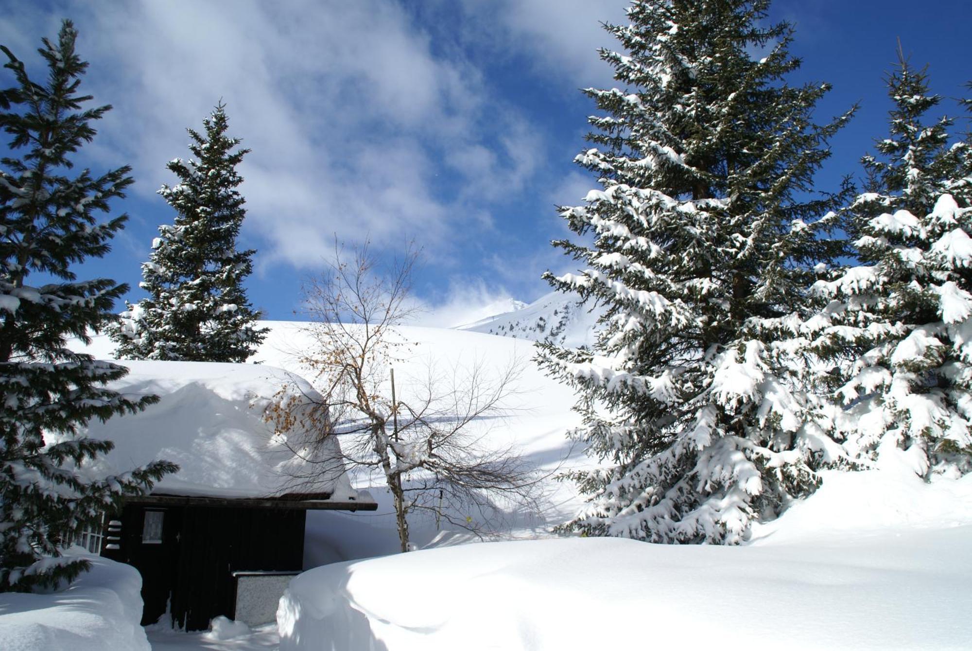 Chalet Baur Arosa Exterior foto